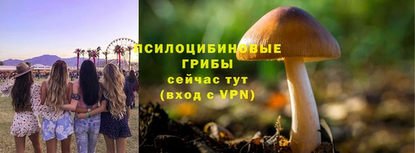 твердый Алексеевка