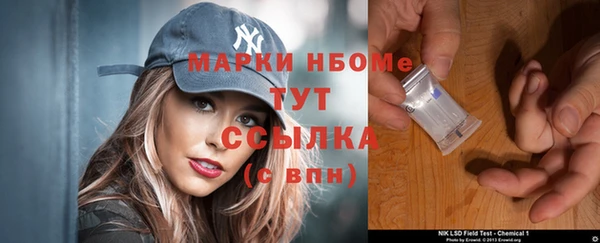хмурый Алзамай