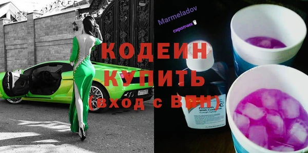 хмурый Алзамай