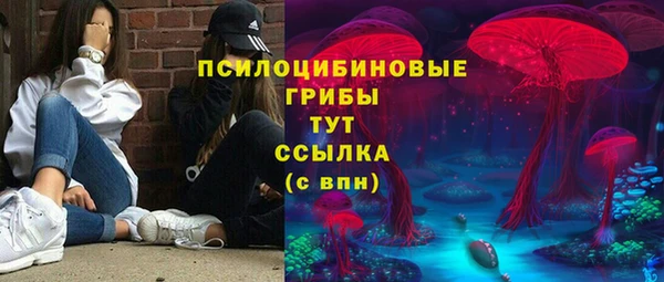 твердый Алексеевка