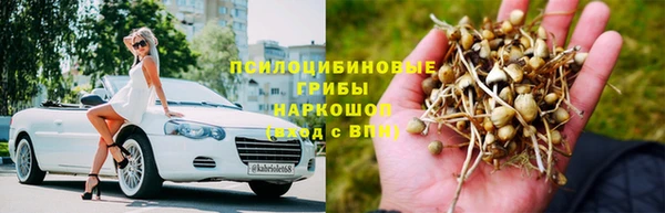 твердый Алексеевка