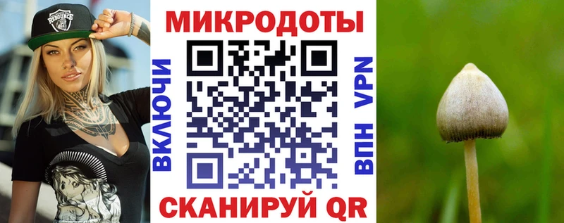 Галлюциногенные грибы Cubensis  Купить  Боровичи 